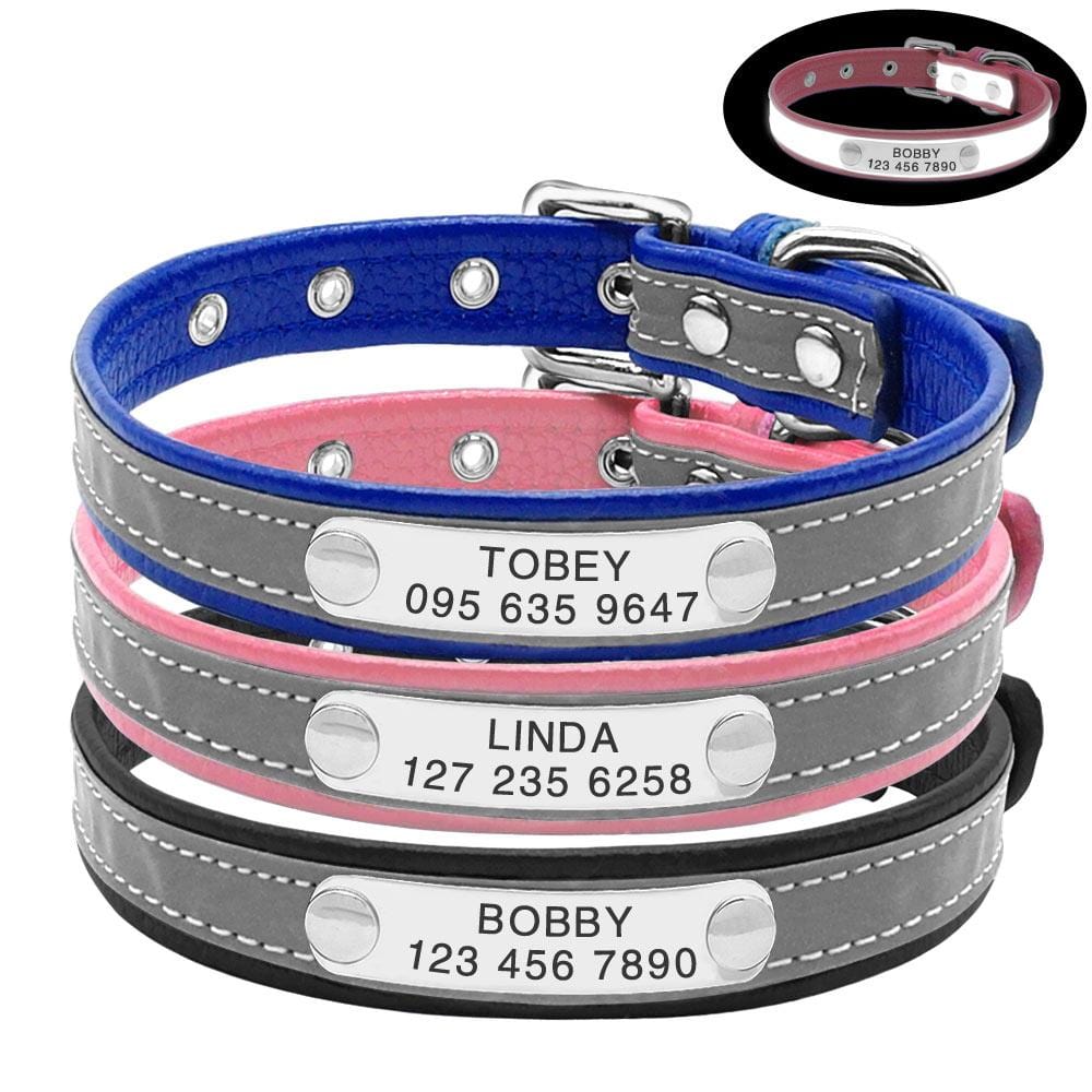 Blue & Black Personalized Cat Collar Set