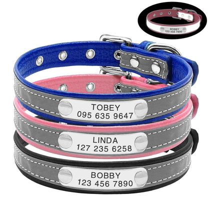 Blue & Black Personalized Cat Collar Set