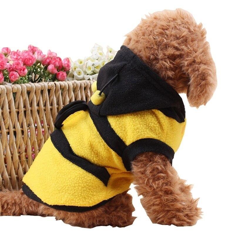 Cat in Bee Costume,  Bumblebee Dog & Cat Costume dog in bee costume