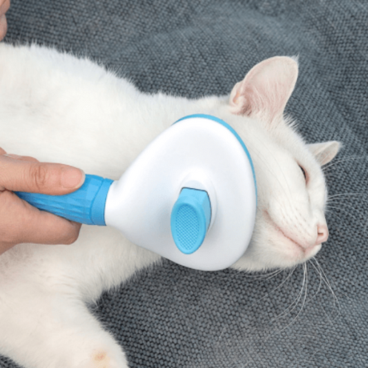 Cat Hair Grooming Tools, Best Cat Hair Brush & Comb for Shedding Best Cat Hair Brush & Comb for Shedding