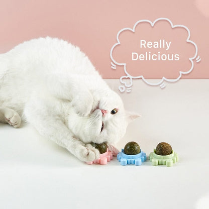 Catnip ball toy for playtime catnip candy and toy