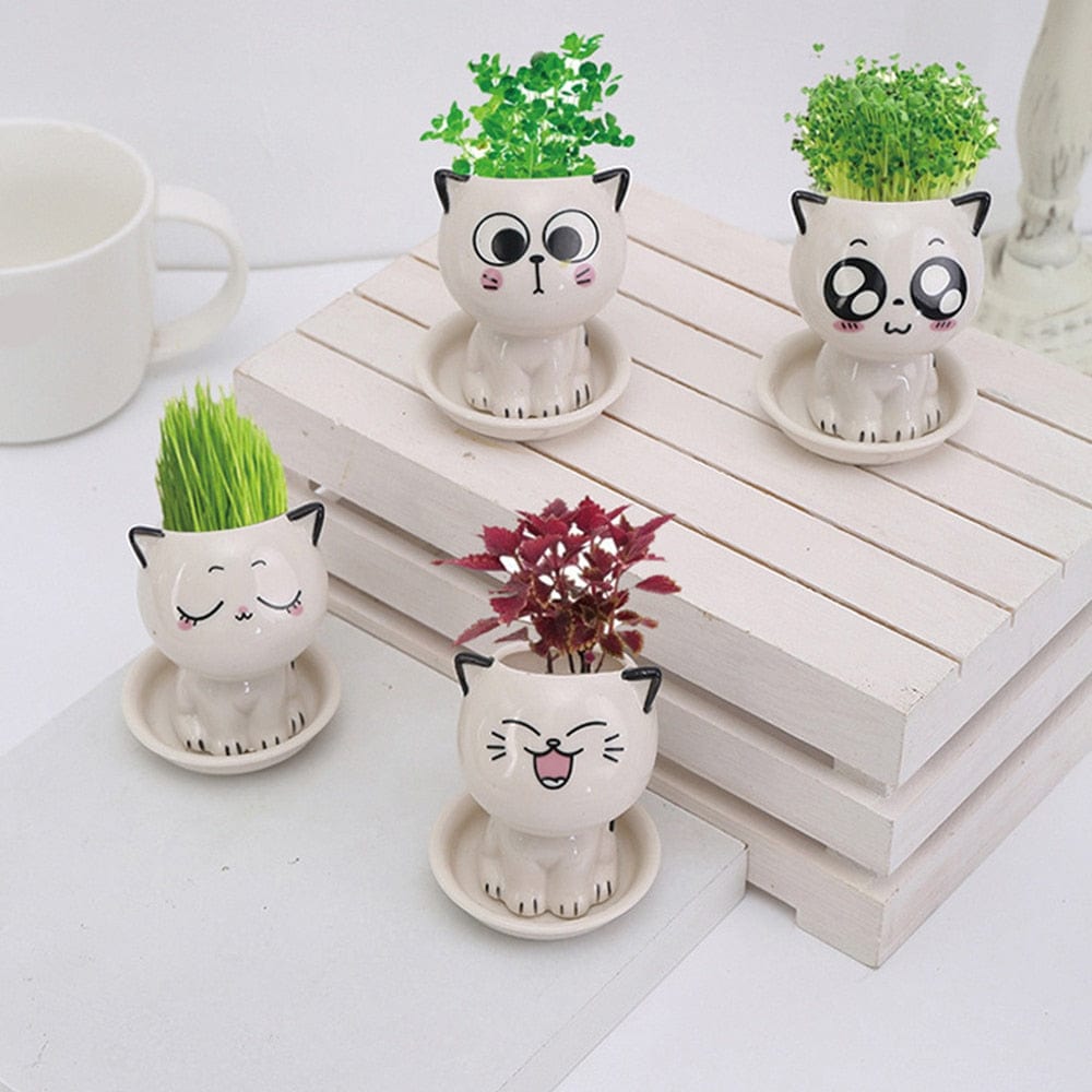 Adorable ceramic mini planter heads,Ceramic Flowerpot Mini Cat Shaped Cartoon Cute Potted Plant Desktop Potted Expression Cat Plant Pot Desk Decorate Small Ornament