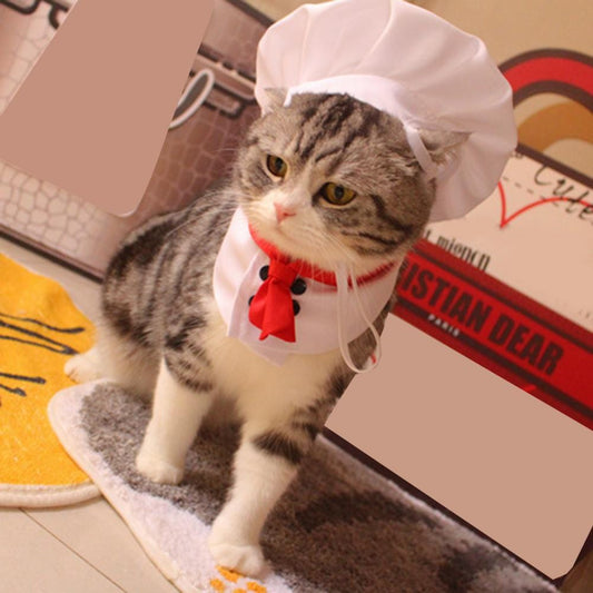 Cute cat chef cap costume,Pet Cooking King Hat Chef Hat Set Cat Dog Transformation Dress Cute Photo Decoration Hat Dog Costume Dog Hat Pet Accessories