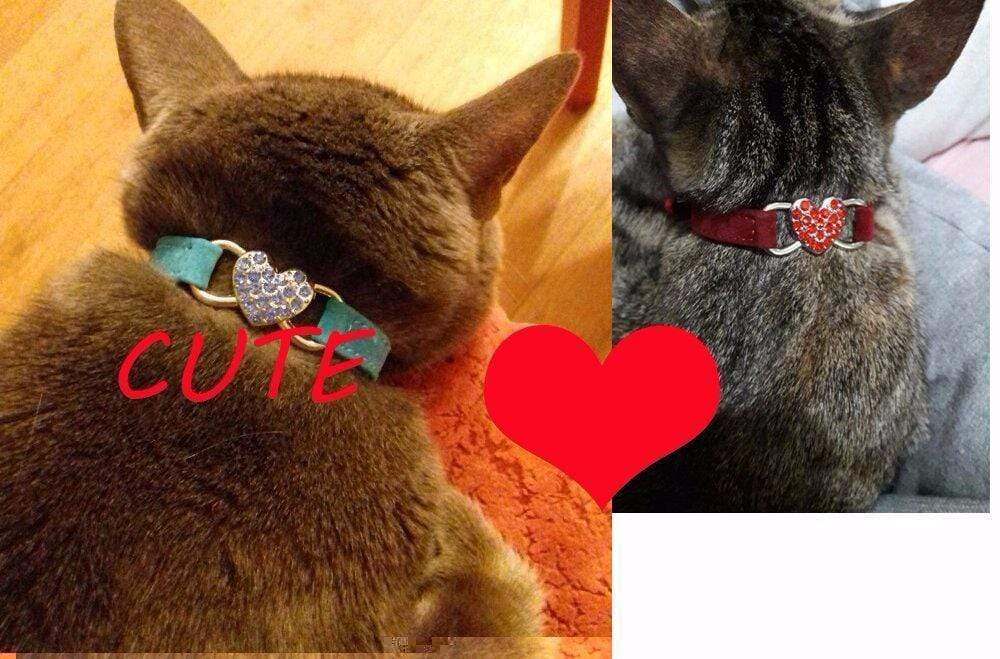 Cute Cats Wearing Matching Heart Charm Collars