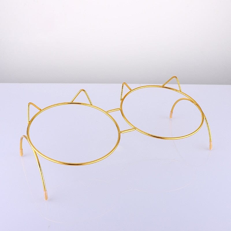 Stylish cat feeding bowls featuring anti-slip and transparency dog food dish bowl feeders cat drinking pet