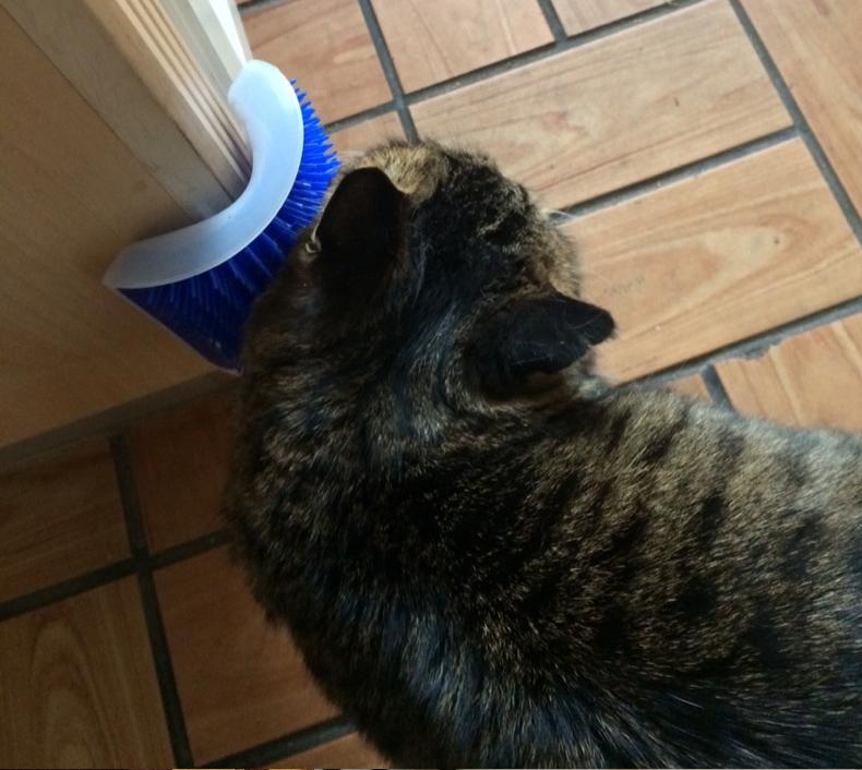 cat self groomer brush