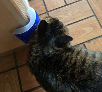 cat self groomer brush