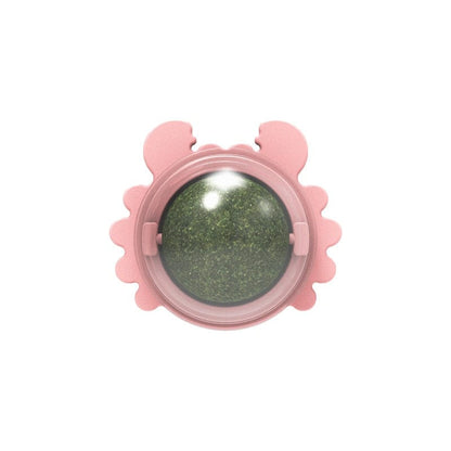 Interactive catnip ball toy catnip candy and toy