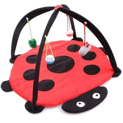indoor pet tent, interactive pet tent   cat activity tent