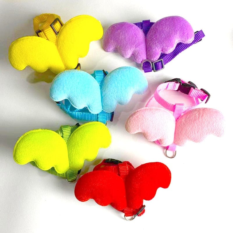 Angel wings pattern cat harness leash combo