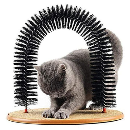 cat grooming arch pets at home grooming cat massage