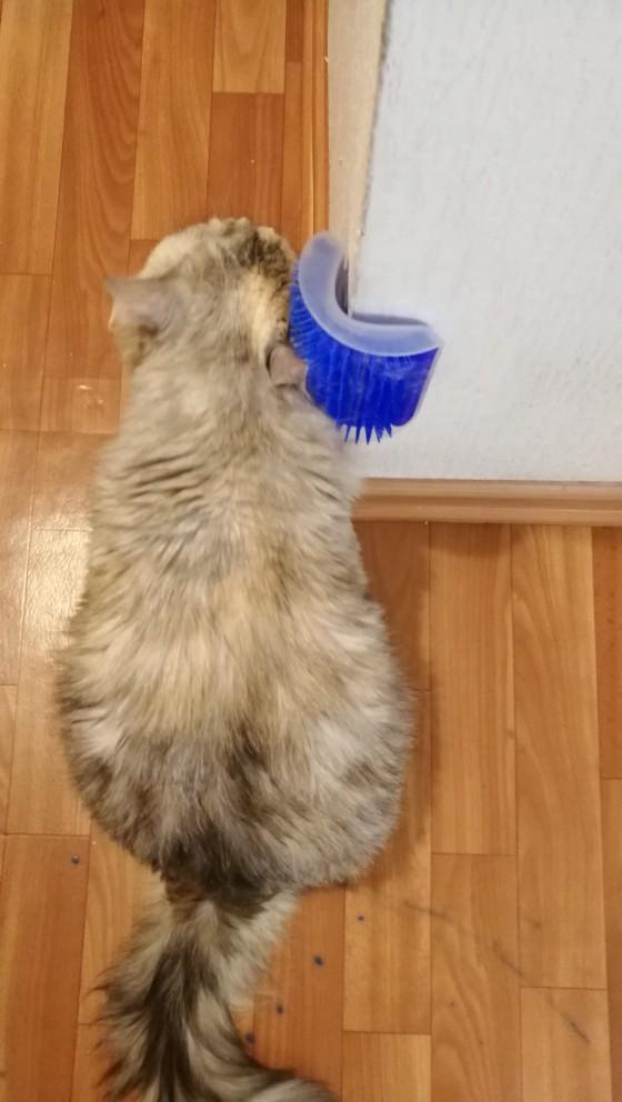 Cat Self Groomer with Catnip, Cat Corner Massage Brush Grooming Comb Toy Tool for Cats with Long & Short Fur 