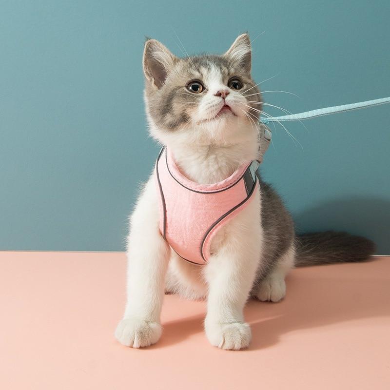 High Fashion Dog Harness and Leash Sets comfortable cat harness