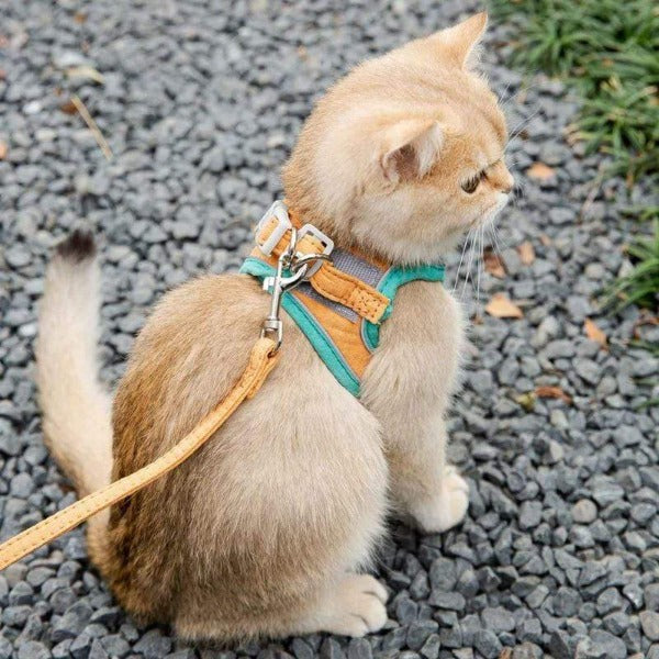 High Fashion Dog Harness and Leash Sets Cat Harness Leash Set for Chihuahua Accessories Dog Cat Vest Pug Leashes Walking Tools Walk Out Lead Product