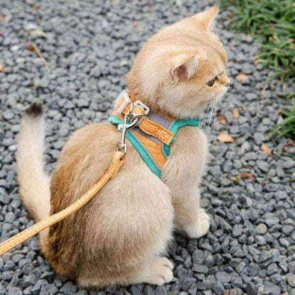 High Fashion Dog Harness and Leash Sets Cat Harness Leash Set for Chihuahua Accessories Dog Cat Vest Pug Leashes Walking Tools Walk Out Lead Product