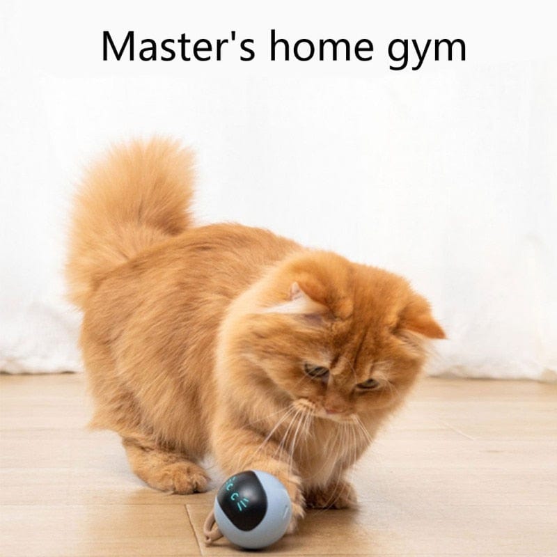 Self-rotating smart cat toy ball for engaging play