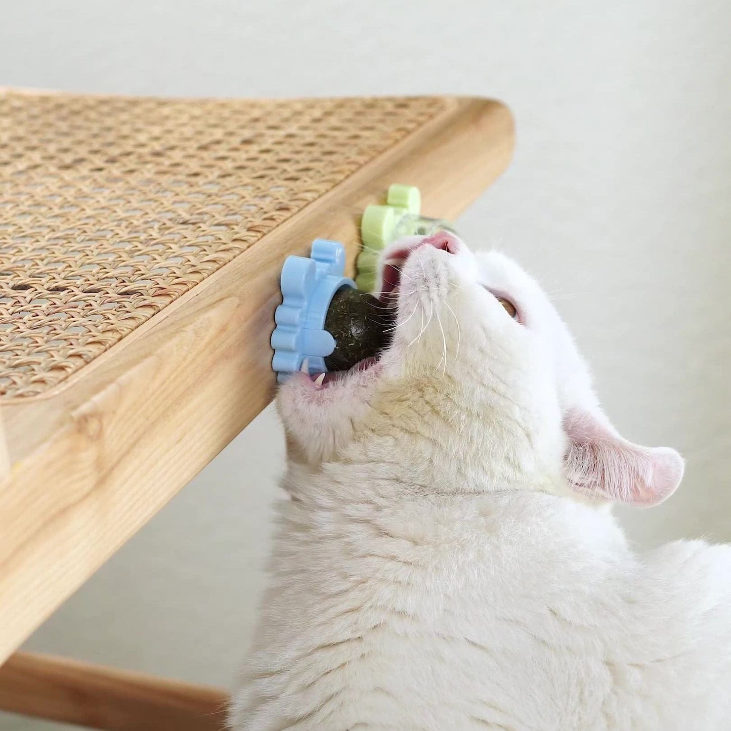 Catnip-infused ball toy