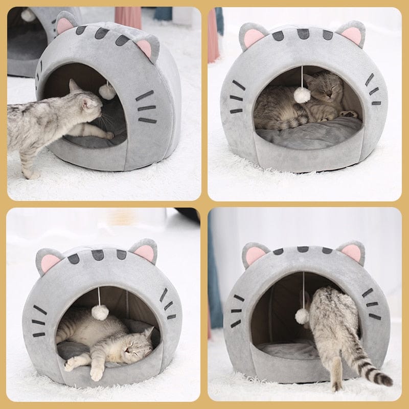 Cute pet bed for cats