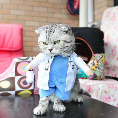 Hilarious cat clearance costumes