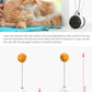 Smart cat catnip toy with wheels