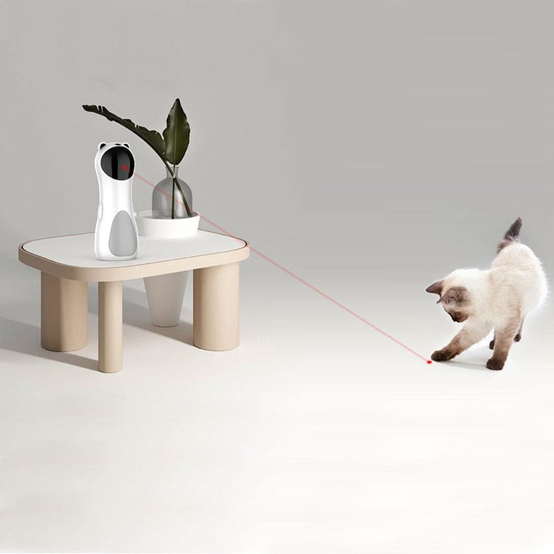 Cat laser toy with LED light for interactive play