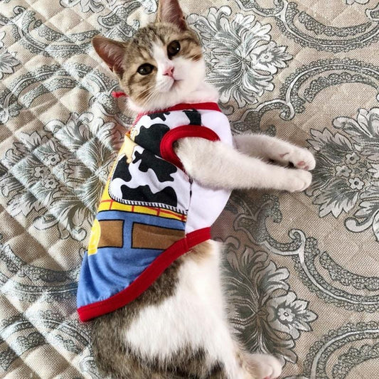 Summery vest for cats
