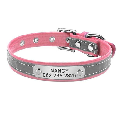 Multicolor Personalized Cat Collar Bundle