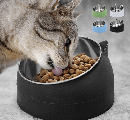 Oblique Mouth Single Cat Bowl Detachable Stainless Steel Food & water Bowl for Cat