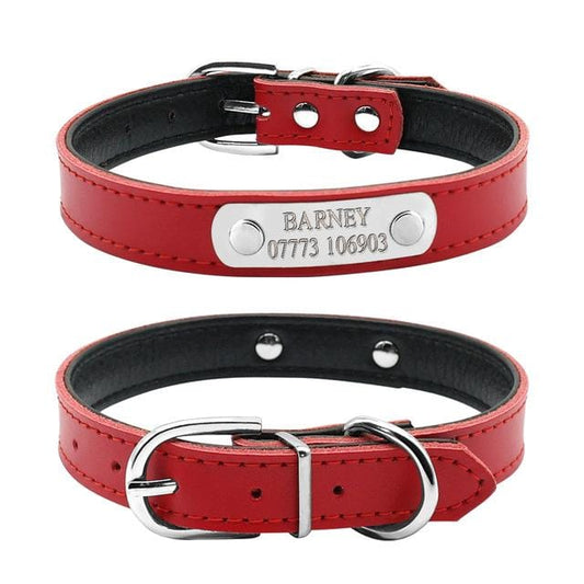CatCurio Pet Store - World's Best Cat Supplies Store - Cat Accessories Cat-Themed Gifts