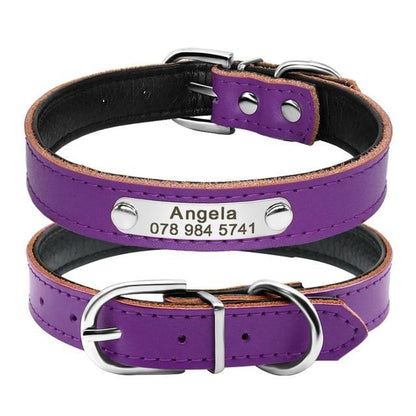 Purple Leather Cat Collar with Custom Name Tag