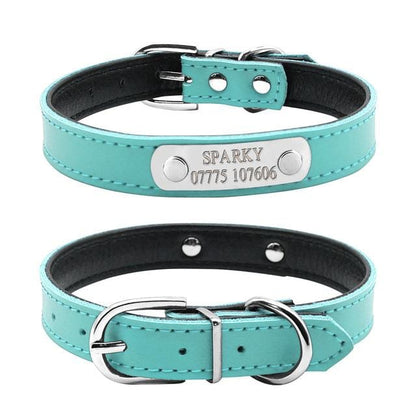 dog collar with name on buckle