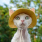 Adjustable travel sunscreen cat hat for cats