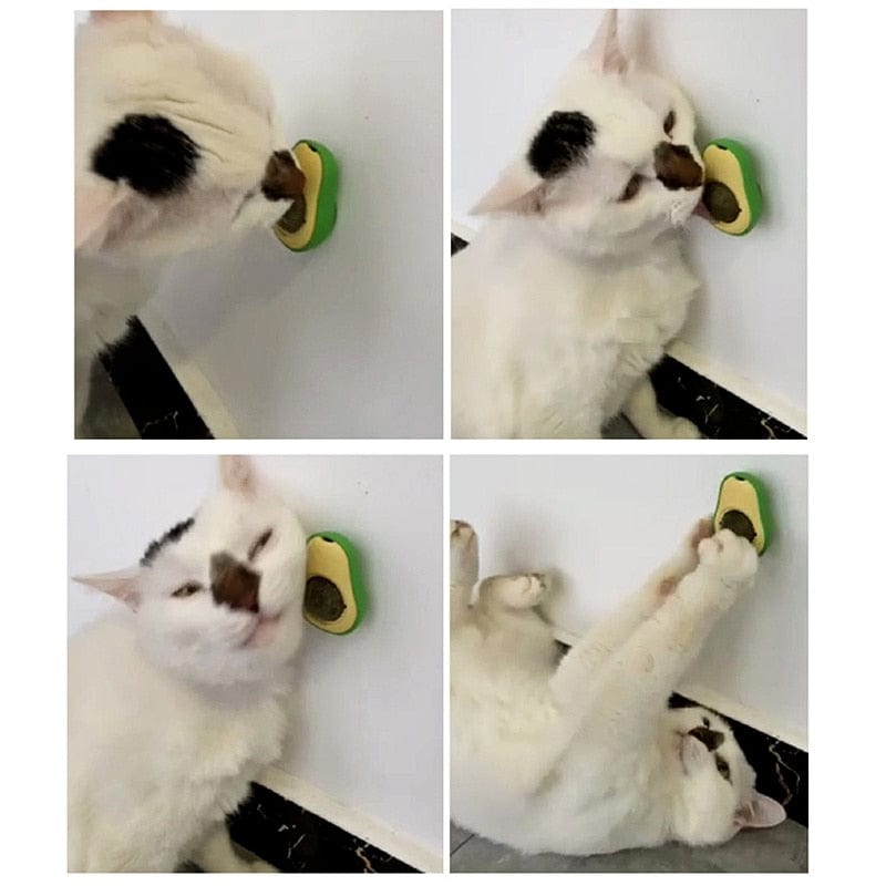 Adorable avocado-shaped cat toys with catnip