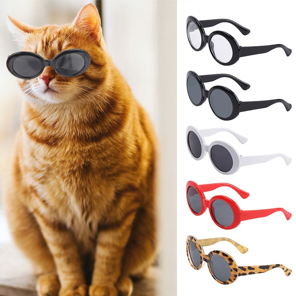 Clout glasses for store cats