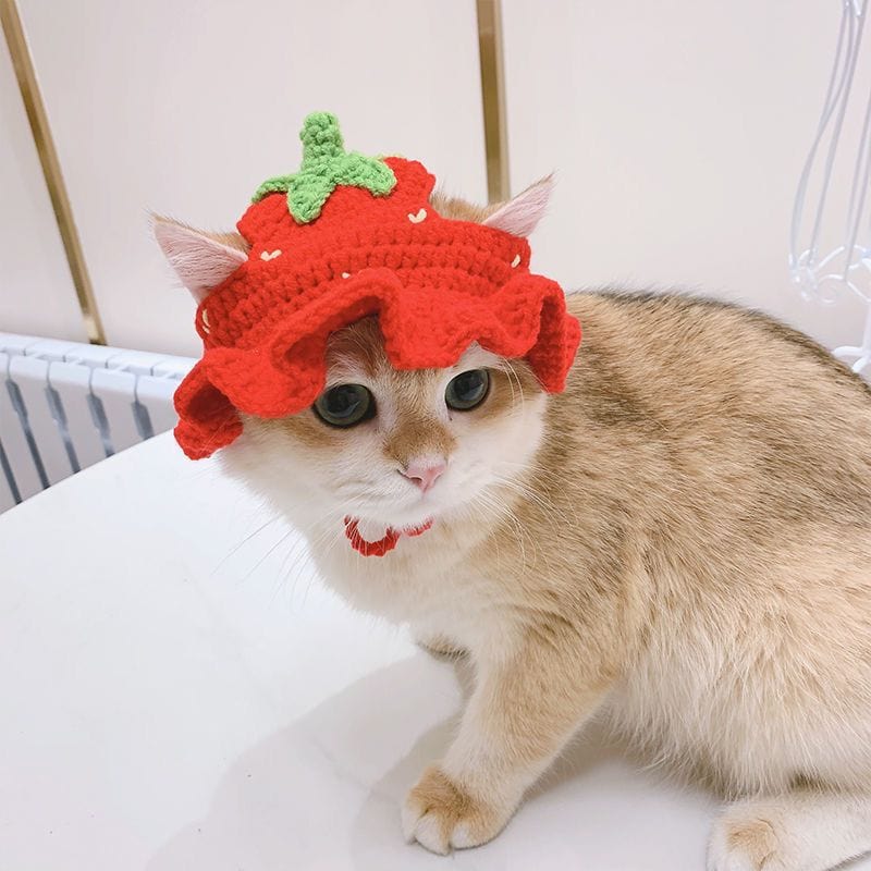 Cute cat beanie with adjustable fit