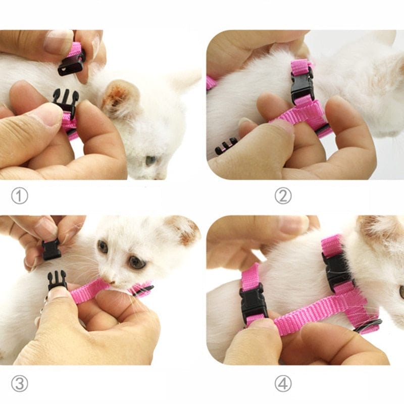 Cat harness leash with cute winged design