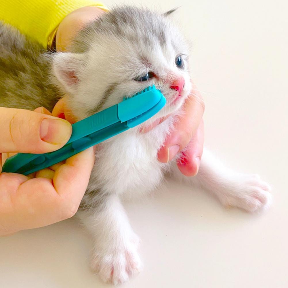 Reusable brush designed for cat eye cleaning