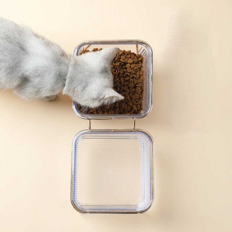 Transparent non-skid cat bowls with a stylish designer touch