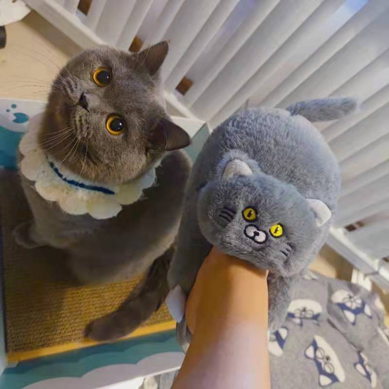 Soft and Plush Kitty Slippers for Home