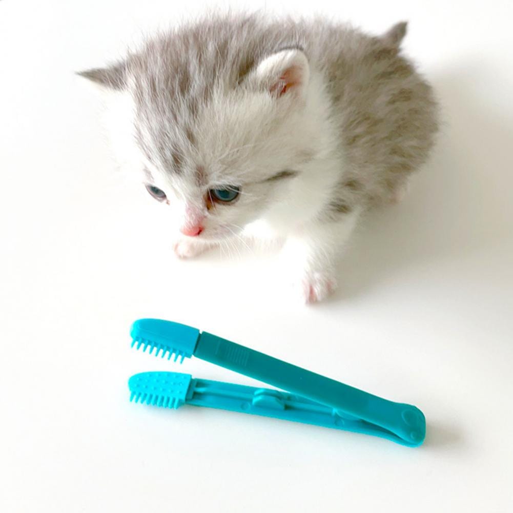 Environmentally friendly cat eye cleaning tool