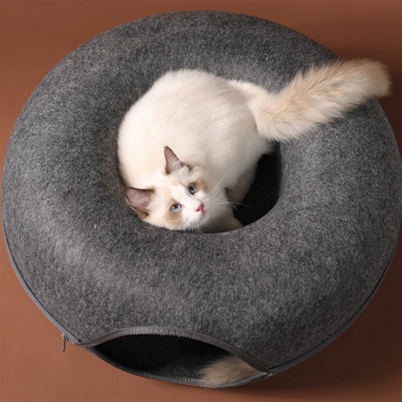 Interactive donut cat bed for indoor enrichment