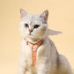 Sweet angel wing cat leash and harness
