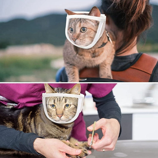 Best transparent cat muzzle anti-bite mask