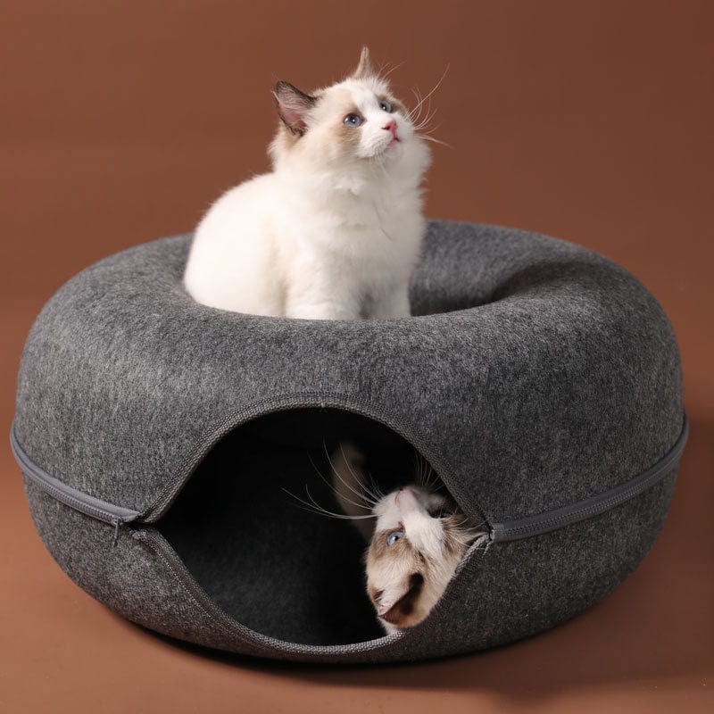 Interactive donut-shaped cat bed for indoor entertainment