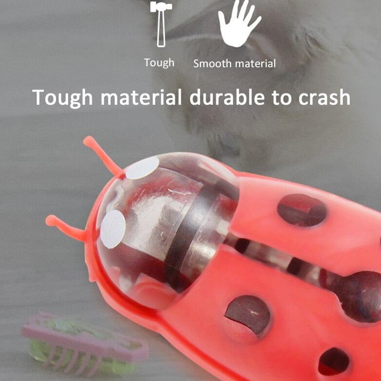 Interactive electric bug toy for cats