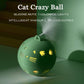 Cat Crazy Ball interactive self-moving toy