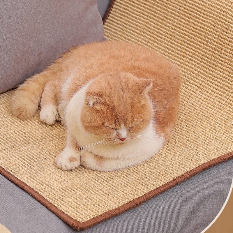 Cat scratcher with textured sisal mat board