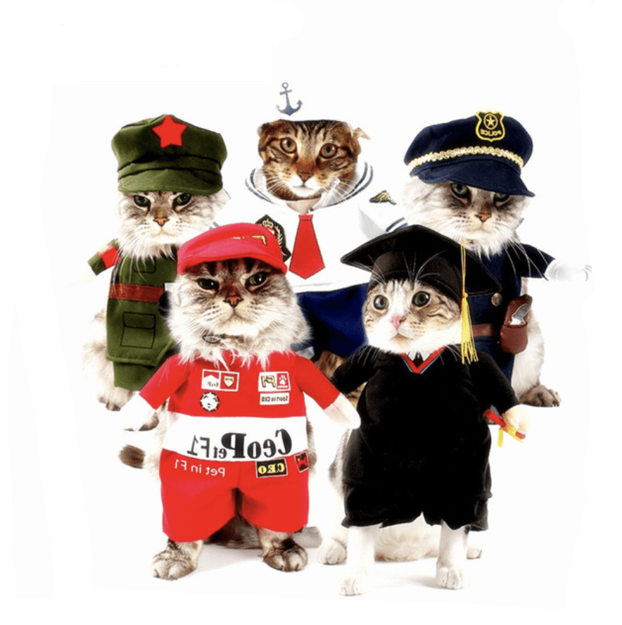 Funny Cat Clothes Pirate Suit Cloth Costume Halloween Party Kitty Suit