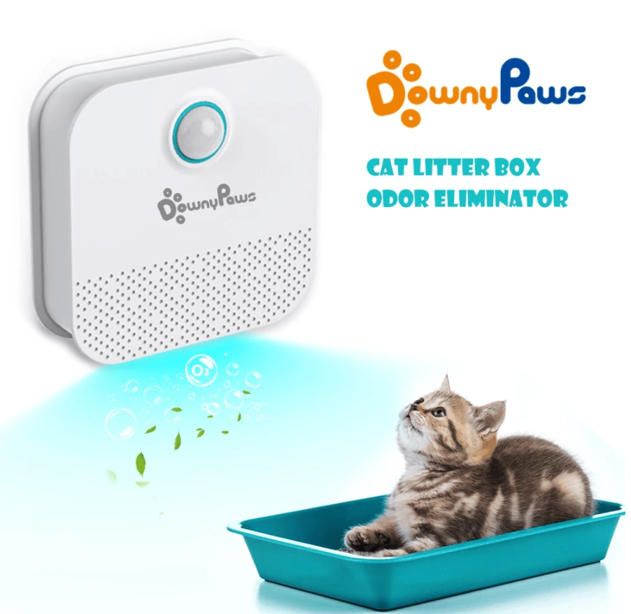 Best smart cat odor litter box purifier