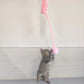 Entertaining woolen spring toy for cats